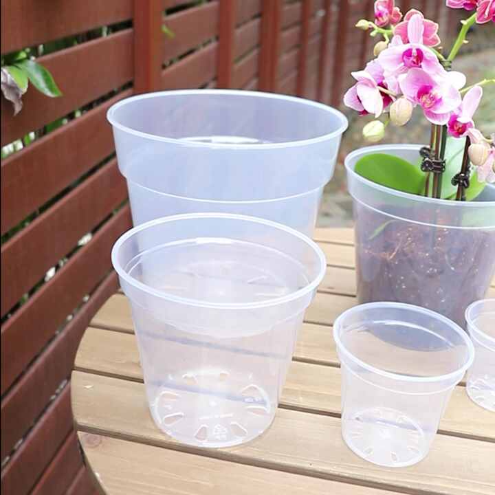 KADAX Vaso Da Fiori Copertura Per Orchidee Supporto Per Fiori Piante In Plastica 12 Cm Verde 83766083