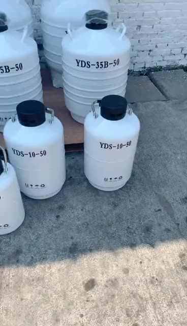 液体窒素 タンク　（１０L） Yds-10-80液体窒素容器10リットルLn2冷凍ザーメン用ザーメン