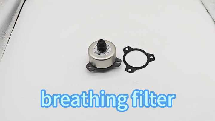 エウロペ IMG-6618_grande.jpg?v=1645811432