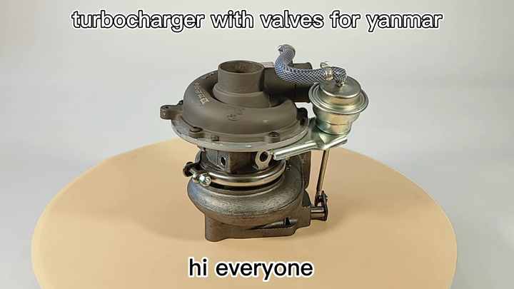 バオバブ しばふ アポロ Adidas ZX 8000 Samples The Ø27 Japanese-Style