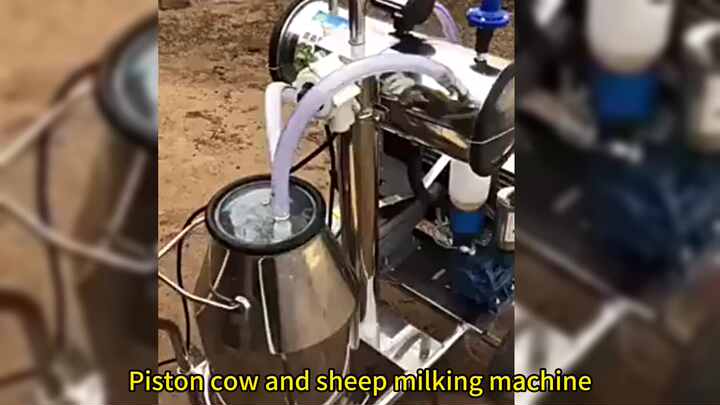 12V Vacuümpomp voor Melken van Ezels, Schapen 12V Vacuümpomp voor Melken van Ezels, Schapen