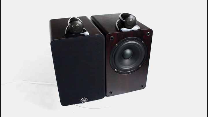 SP-2080 5.25 Inch 2-Way Crossover HIFI Professional Speaker