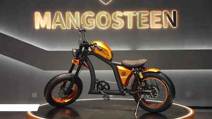 自転車本体 mingus 自転車本体 mingus SUPER73-ZX Core