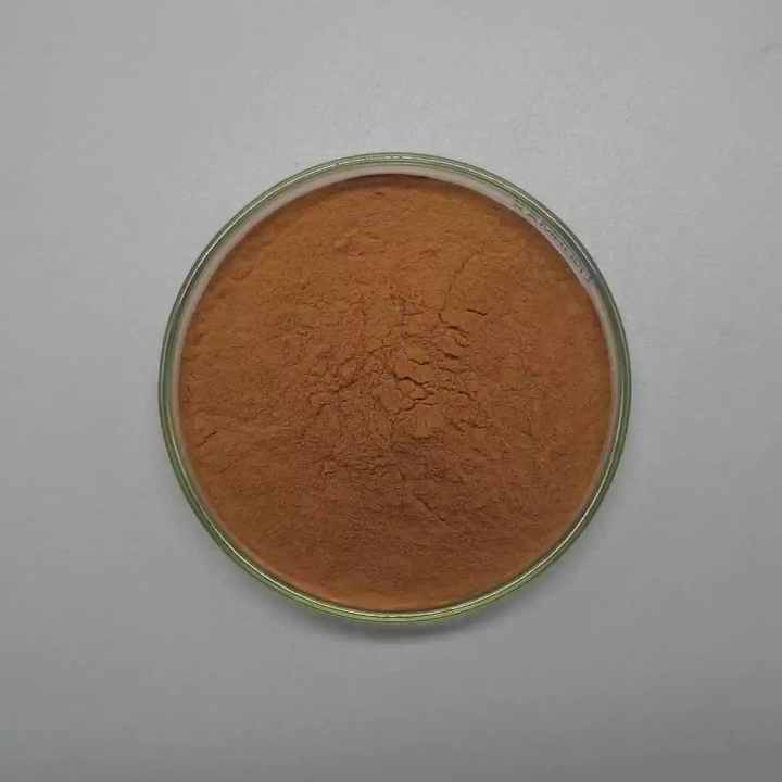 High Quality White Button Mushroom Extract Powder Buy White Button