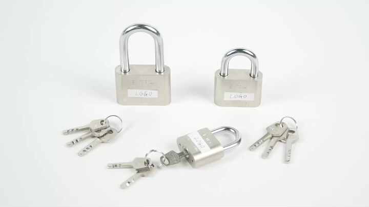 Lucchetto a disco con chiave in acciaio inox, 70 mm, lucchetto a disco rotondo, resistente alle intemperie, con 2 chiavi per magazzino, garage, capannone