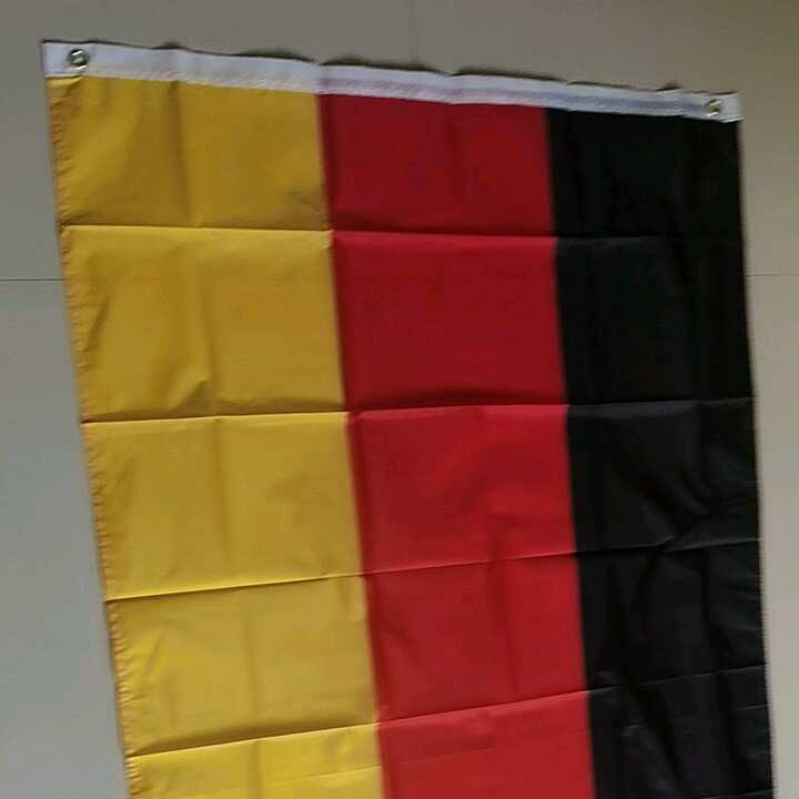 Aficionados de la selección nacional de fútbol de Alemania celebrando la copa mundial de fútbol | Foto Premium
