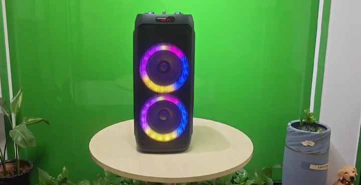Dual Inch Speakers with LED Lights Portable Party Sound