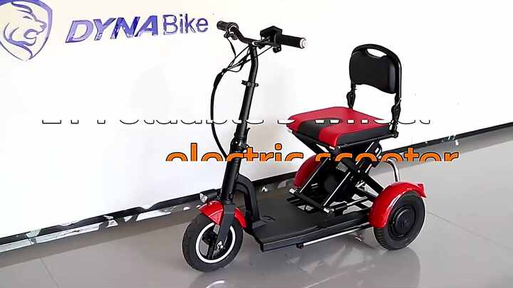 electric bicycle 2 seater Ridstar FM001 2-Seater Fat Tire Electric Bike  Ridstarebike