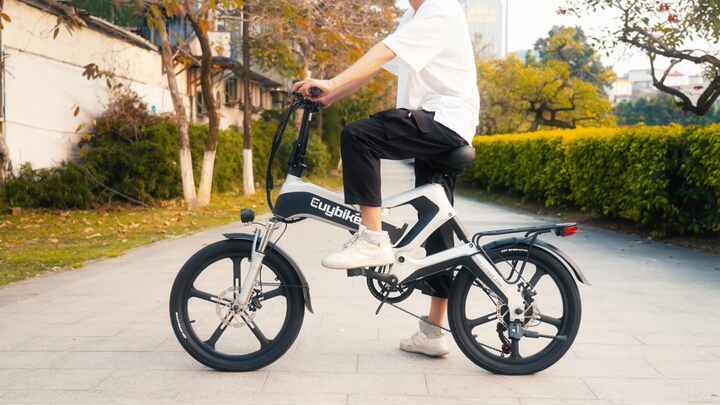正步k6s 20英寸48v 400w 500w 12.