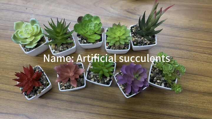 Artificial Mini Succulents Plastic Small Pot Indoor Home Decoration  Artificial Succulents Wholesale