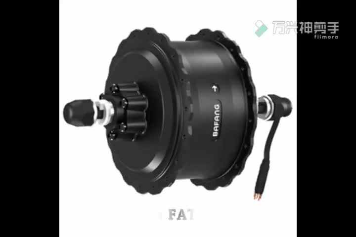 Bafang Rear Hub Motor Wheel Motor 36v250w RM