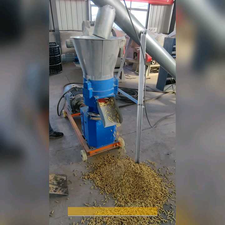 Machine à Pellets – Granulateur Presse 125 – 80kg/h – Alimentation Animale, 220V/380V