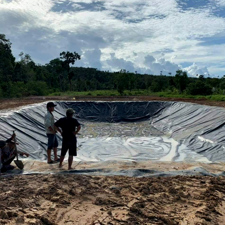 Китай hdpe Геомембрана лист аквакультуры геомембрана 0,75 мм земной работы геомембрана