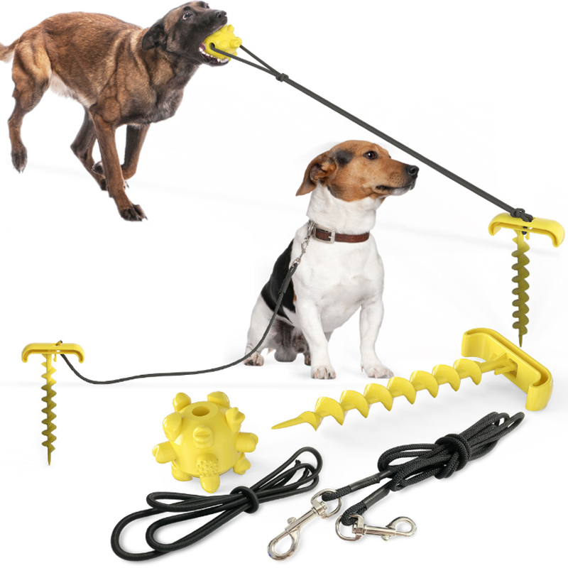 multiple dog leash holder