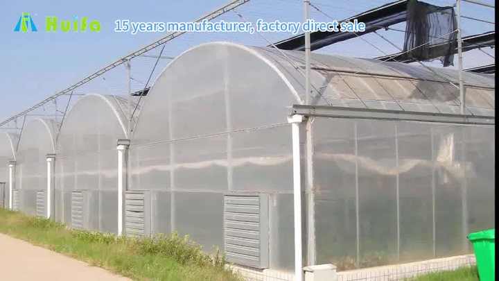 теплица с овощами и техническое оборудование с трубопроводами