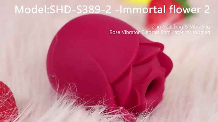 Wholesale Nipple Sucker Rose Flower Vibrator Sex Toys for Women Adult Sex  Toys Rose Sucking Vibrator