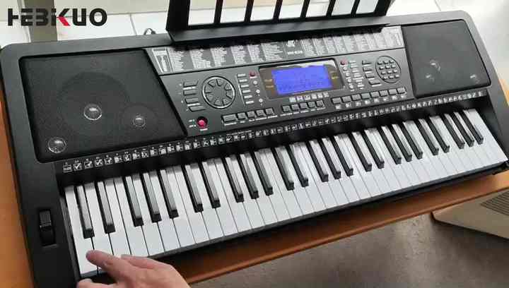 MK-825 61-Key Portable Electric Organ Keyboard with 255 Rhythms