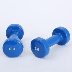 Gym Equipment Home Exercise Body Training Round Dipping Dumbbell Set
