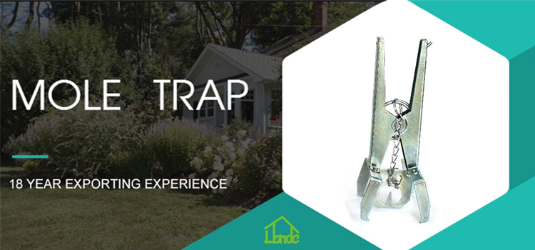 Heavy Duty Claw Mole Trap Humane Killer Rodent Trap Pest Control Products Outdoor Garden Mole Claw Scissor Trap