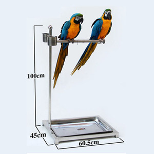 macaw stand