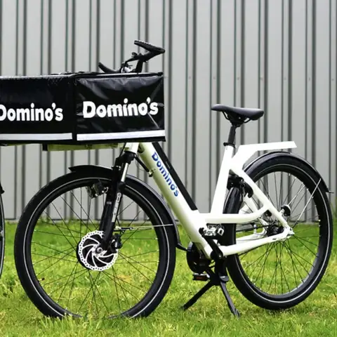 electric bike dominos