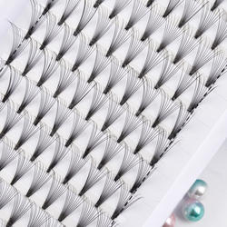 Wholesale Bloom Freely Volume Lashes Pre Made 3D 4D 5D 6D 10D short steam Cluster Eyelashes extensions 0.05  C D curl
