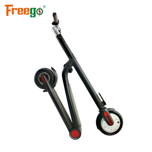 sit and stand scooter