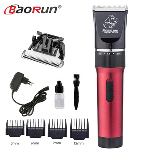 baorun professional hair clipper