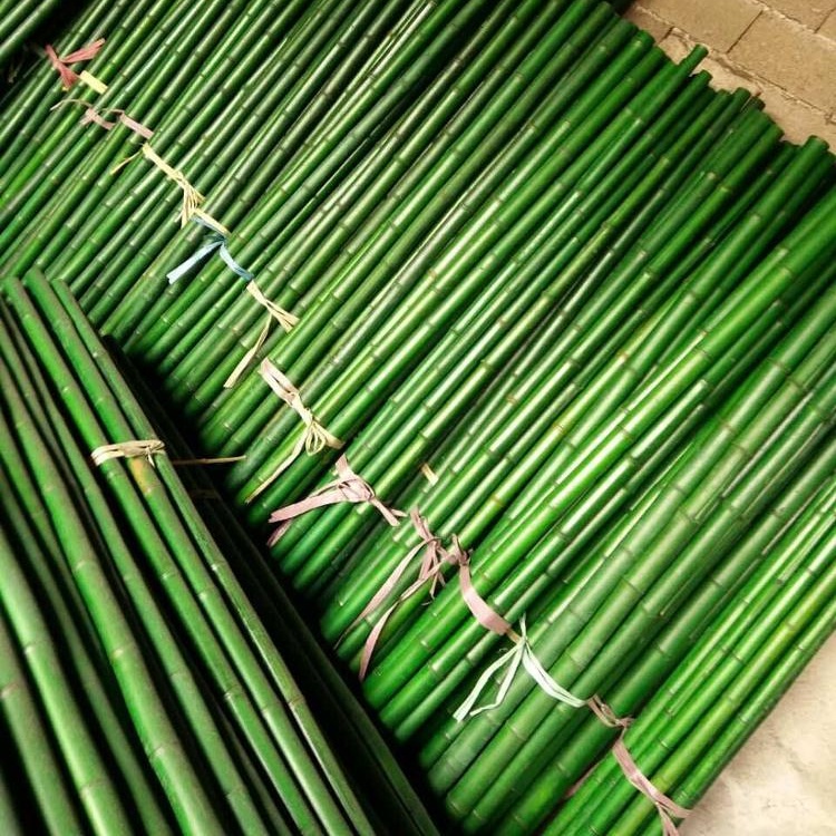 75cm 400 x 30/" Split Canes Green Plant Garden Support Flower Sticks Frame
