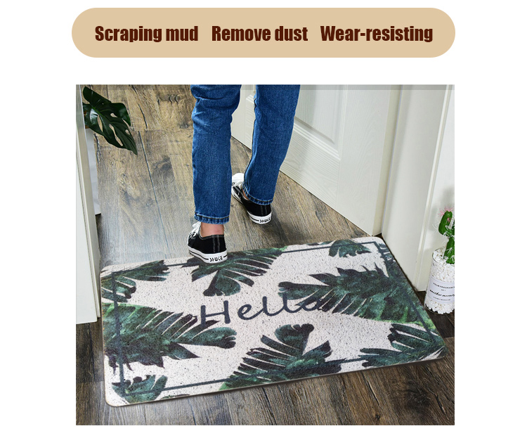 Household Entrance PVC coil Front Door Mat indoor Outdoor printed door mat(图2)