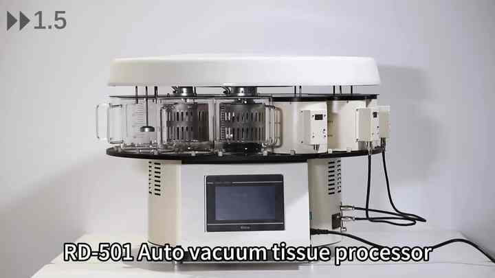 Roundfin Biological Automatic Tissue Processor Histology RD-501