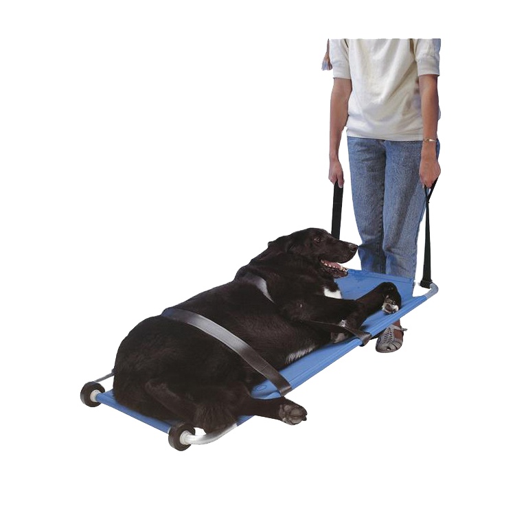 Japaneseプレイヤーの販売 オンラインショッピング 犬ストレッチャー Alibaba Comでのjapaneseプレイヤーの販売