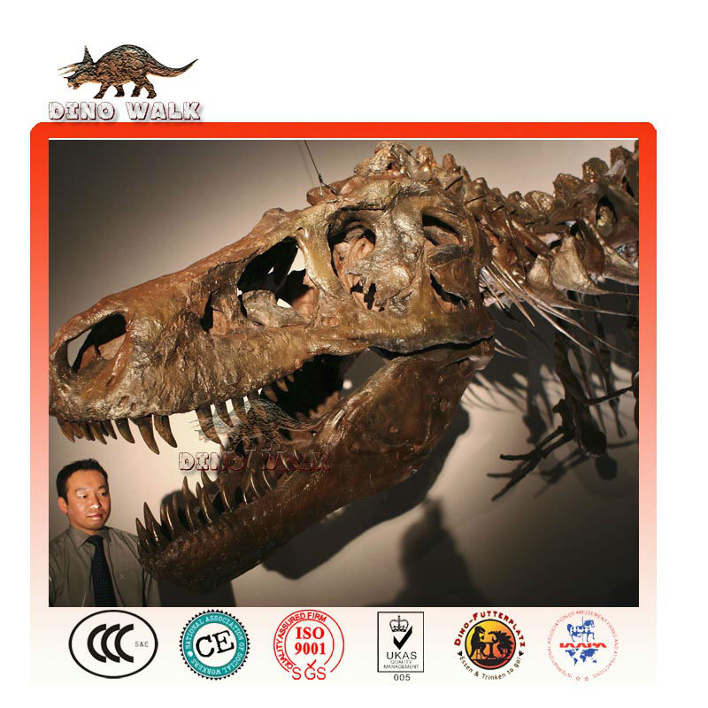 ディノ0265 恐竜王化石レプリカ 恐竜頭部化石| Alibaba.com