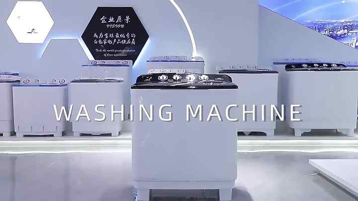 20kg Washing Capacity Twin Tub Top Loading XPB200-2009SVA Factory