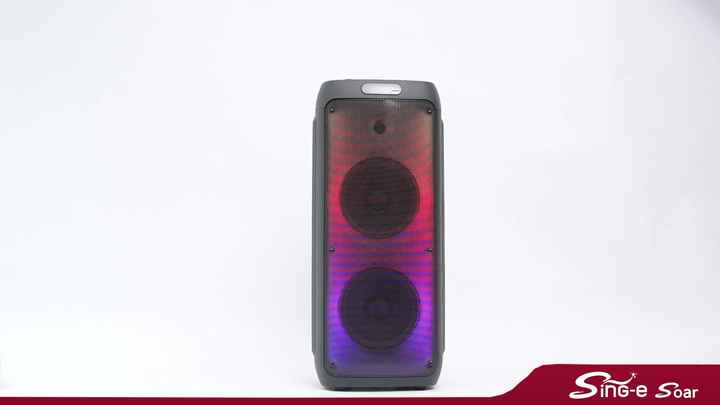 Sing-e ZQS8236 Dual 8 Inch Bluetooth Speaker - Party Box