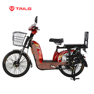 tailg e bike 3 wheel price