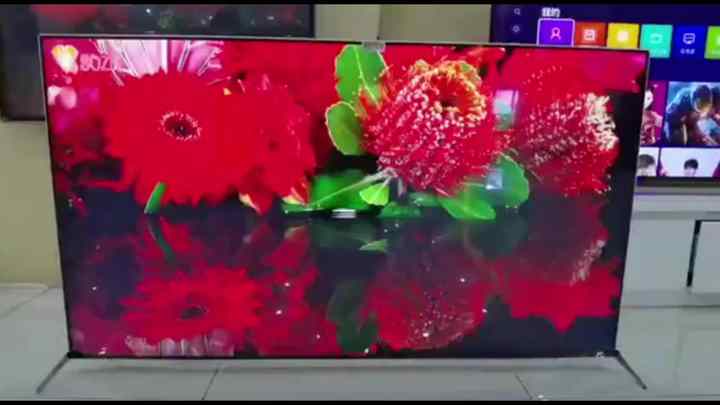Germany's Top Choice: 85 Inch 4K OLED Smart TV for Home, Hotels