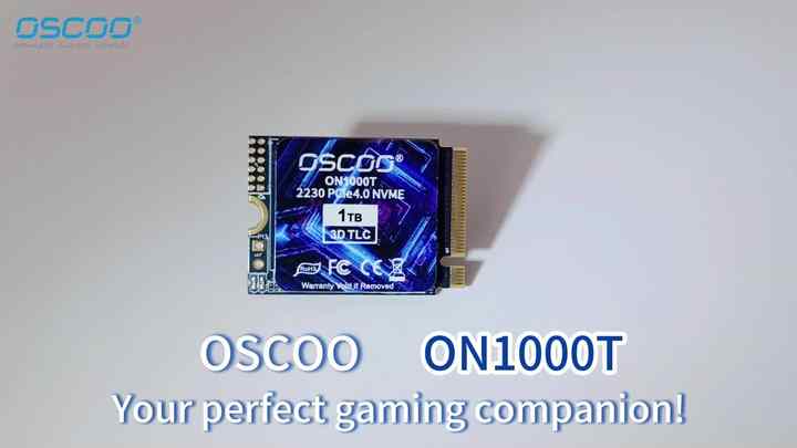 OSCOO 1TB M.2 2230 PCIe 4.0 NVMe SSD - High-Speed 500GB & 2TB