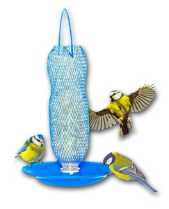 Glass Bird Water Feeder Glass Bird Water Feeder Suppliers And