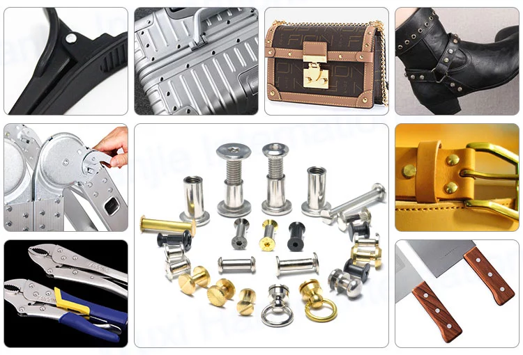 M3 M4 M5 M6 M8 M10 M12 Stainless Steel 304 Wood Furniture Metal Sheet Book Leather Rivet Barrel Nut Torx Pin Chicago Scr