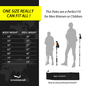 wilcor walking stick