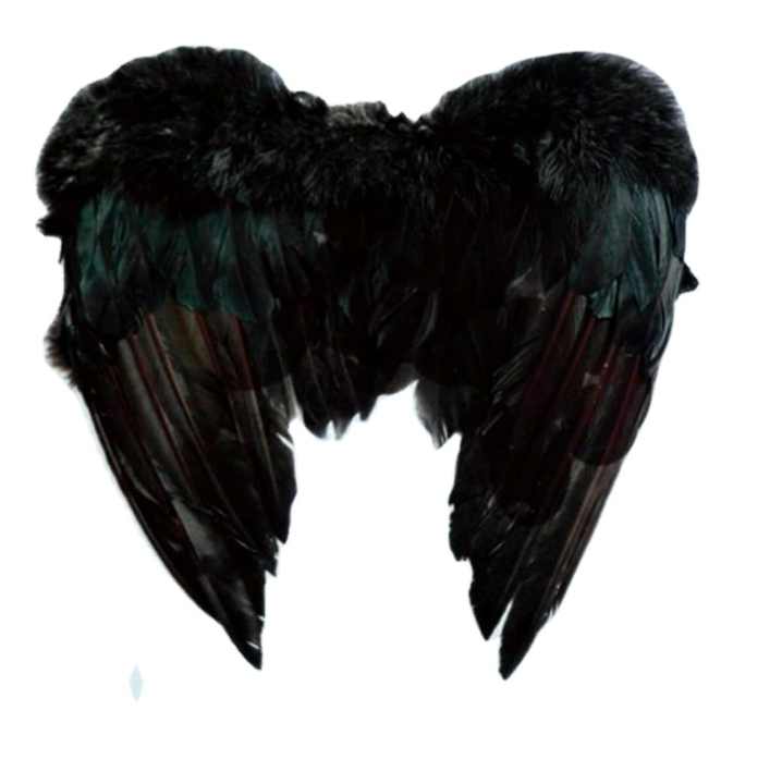 2018 new popular handmade large black feather angel wing - buy