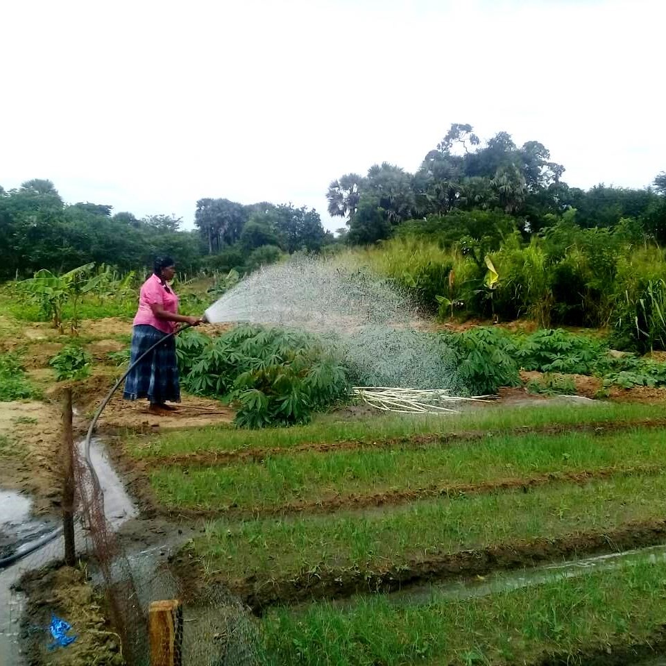 3SPC4/70-D48/750 48V 1HP 70 м высоконапорный Солнечная приведенная в действие dc мини водяной насос для скважины