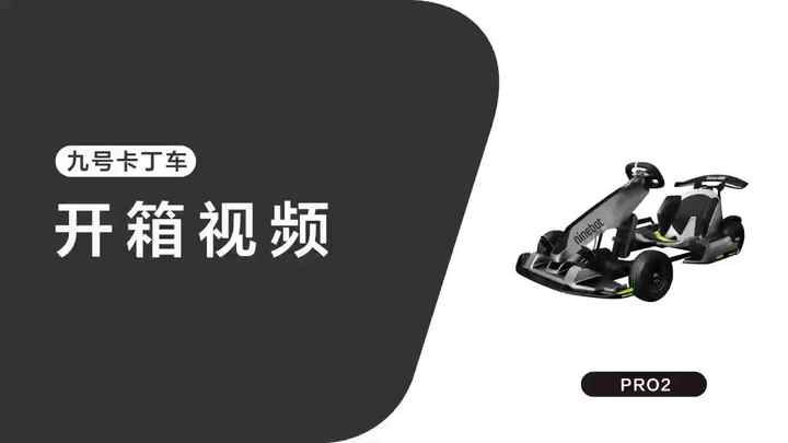 Ninebot Go Kart Pro 2 - Ultimate Electric Ride for Kids & Adults