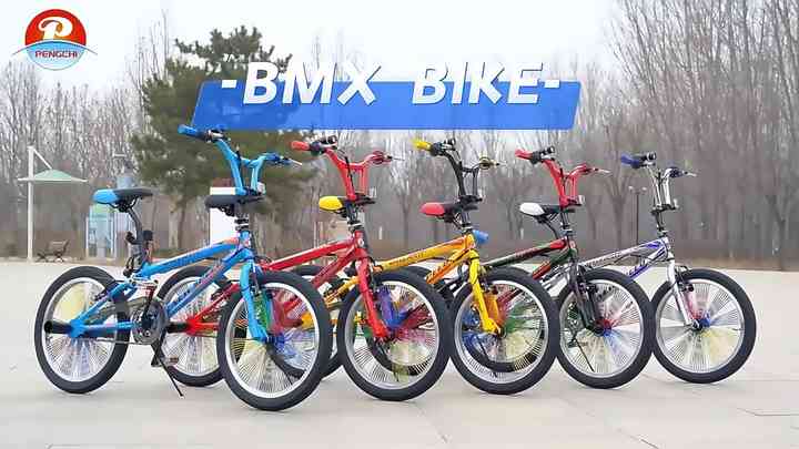 Bicicleta BMX Fox: Aço Carbono, Freestyle, 20
