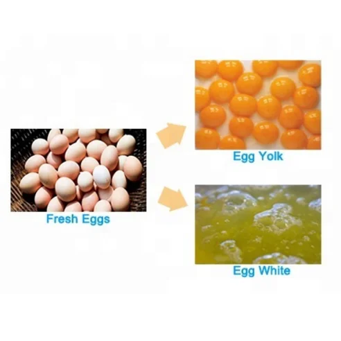 Egg white and egg yolk separator/ automatic egg breaker separator machine / egg breaker