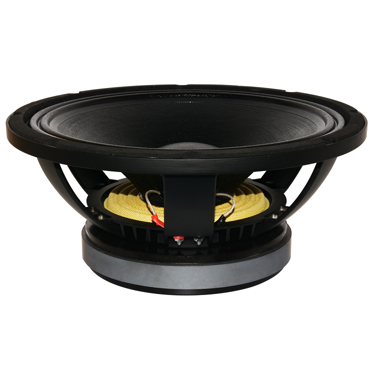 12 дюймов для внутреннего и наружного производительности громкоговорителя WL1204F