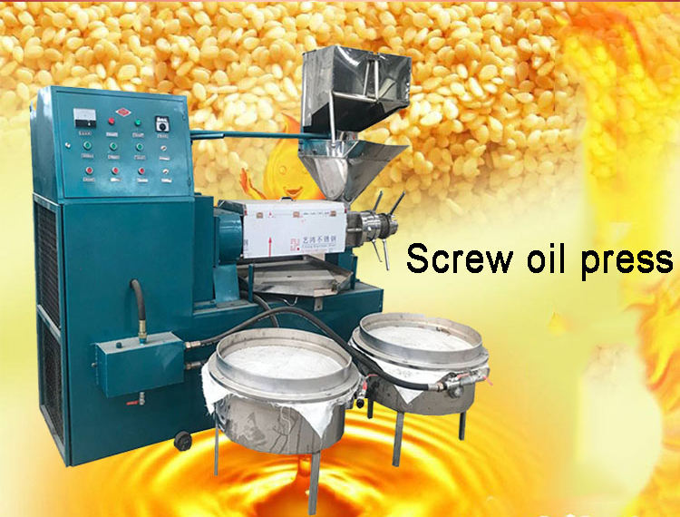 source 6yl-80榨油机大豆花生葵花棉籽榨油机提取 on m.alibaba.com