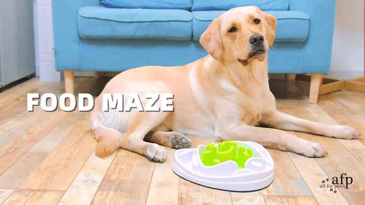 AFP Interactives Pet Dog Slow Feeder Food Maze Toy 2 Interchangeable Slow  Feeding Mazes Treat Dispenser for Dogs Healthy Eating