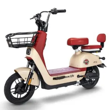 Wuxi Xushi Thunder International Trade Co., Ltd. - electric bike ...